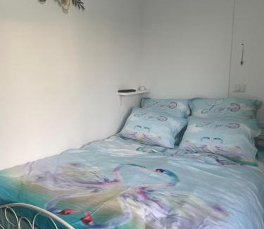 Suceava Apartamento | Studio2