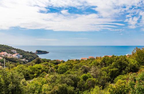 Utjeha Hladna Uvala Apartamento | Studios Nikezić