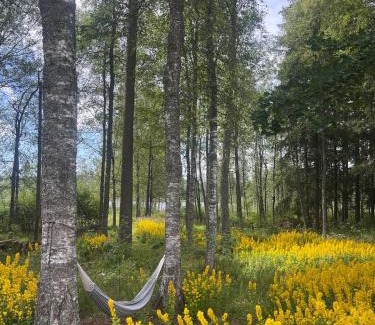 Kristinehamn Casa | Stuga lilla Vilången