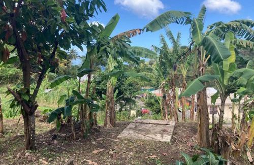 Grand Roy Apartamento | Stunning 2-Bed Apartment in Grand Roy Grenada