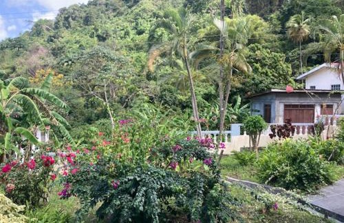 Grand Roy Apartamento | Stunning 2-Bed Apartment in Grand Roy Grenada