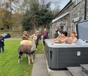 Betws Gwerfil Goch Casa | Stunning Barn Conversion with HOT TUB and ALPACAS - Ty Cerrig Barn