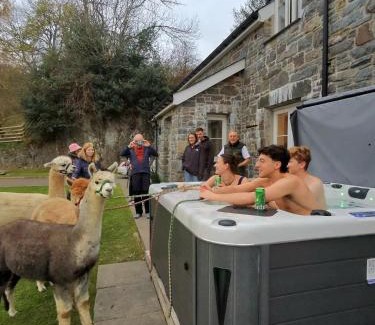 Betws Gwerfil Goch Casa | Stunning Barn Conversion with HOT TUB and ALPACAS - Ty Cerrig Barn