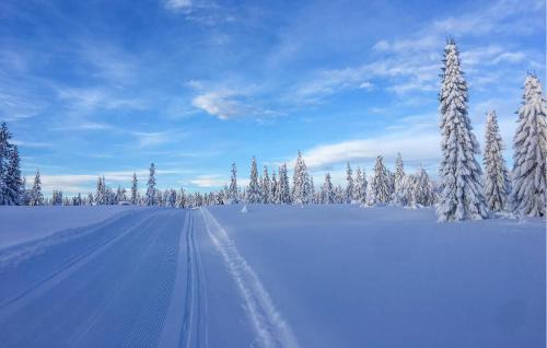 Sjusjoen Casa | Stunning Home In Sjusjøen With Sauna