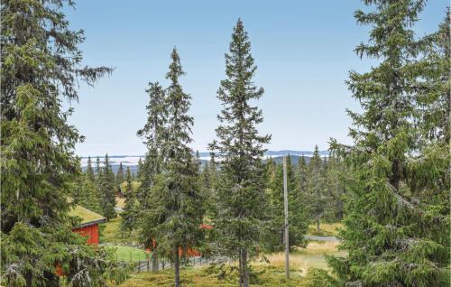 Sjusjoen Casa | Stunning Home In Sjusjøen With Kitchen