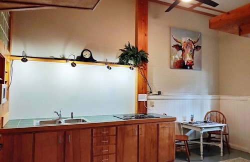 Cullowhee Cabina | Stunning Modern Rustic Lake Retreat PRVT BOAT SLIP