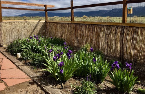 Crestone Casa | STUNNING MTN. VIEWS, Quiet, Pvt. 8 Acre Homestead