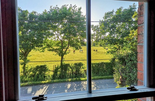 New Forest District Cabaña | Stunning New Forest Cottage Close to Paultons Park / Peppa Pig World