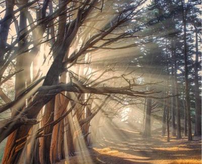 Montara Casa | Stunning Oceanview Coastal Home Beach Trails Family Activities