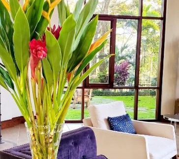 Pan de Azucar Casa | STUNNING Property, Magical Vacation!