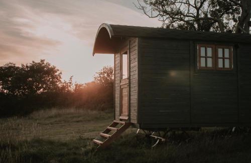 Bideford Casa | Stunning Shepherd's Hut Retreat North Devon
