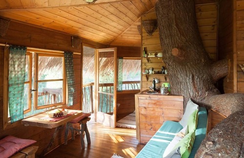 Ilida Cabaña | Stunning Treehouse 10 mins from sandy beaches.