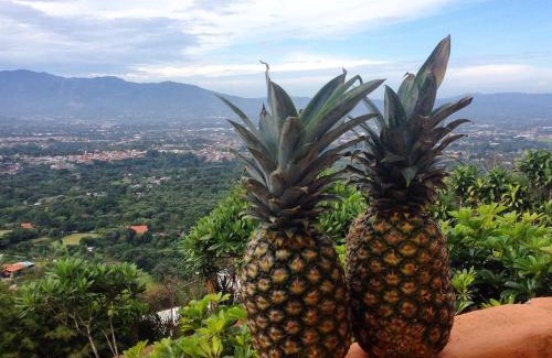 San Isidro Casa | Stunning Views from Coffee Country Villa - 25 min to SJO