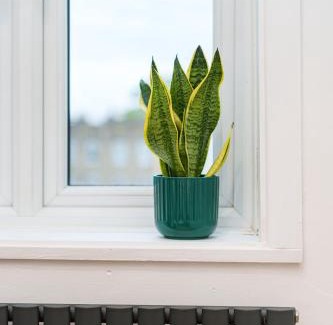 Livesey Apartamento | Stylish and Spacious Peckham Flat