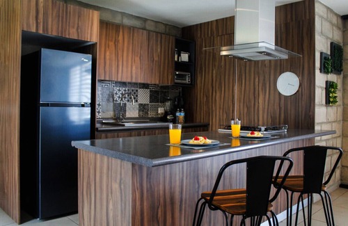 Centro de Guadalajara Apartamento | Stylish Authentic Loft w/Gym & Coworking | 1 BD | Tribu Colón