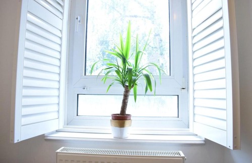 Belsize Park Apartamento | Stylish Central London 1 Bedroom Apartment in Belsize Park