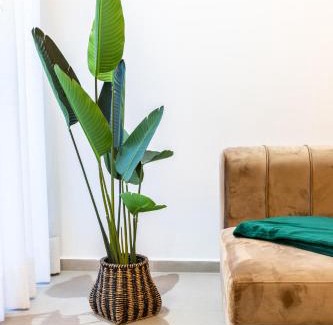 RACINE EXTENSION Apartamento | Stylish & Chic Flat - Best Place - New Building