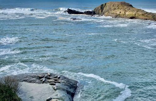 Depoe Bay Casa | Stylish Oceanfront Cottage Overlooking Pirate Cove