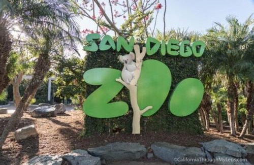 Hillcrest Apartamento | Stylish Studio with Parking, Near the Zoo, Airport, Downtown, Balboa Park