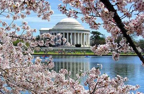 Ballston Apartamento | Stylish1BR, Arlington,FREEPark,Pool, Gym Wifi,