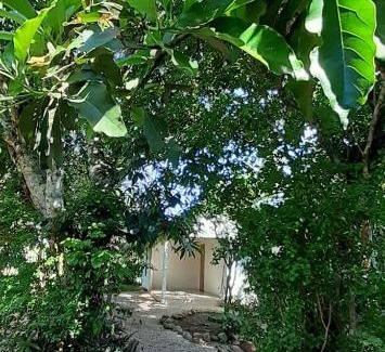 Cuiaba Casa | Suíte da Floresta