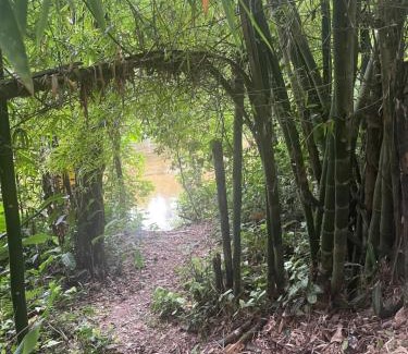 Ponte Branca Cabina | Suítes flores da mata