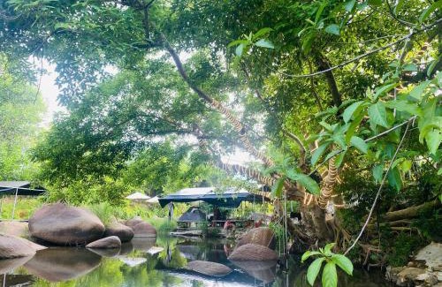 Ninh Hoa Otro | Suối Mơ Dốc Tình Glamping & Retreat