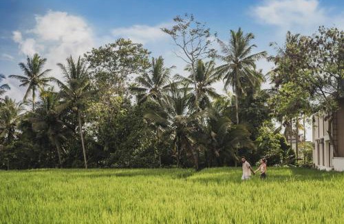 Melayang Hotel | Suara Alam Hotel Ubud by Ini Vie Hospitality