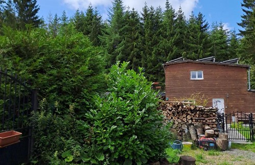 Rendeux Casa | Sublime forêt