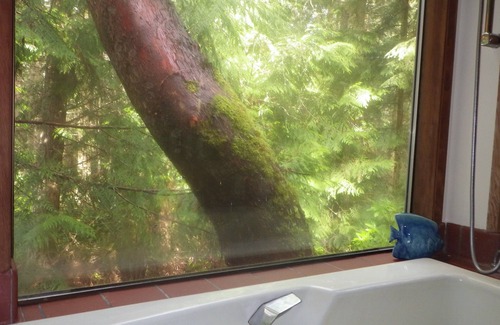 Adelma Beach Cabina | Sublime Port Townsend Retiro