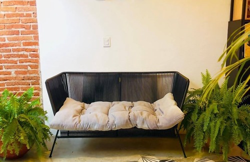Barrio de Guadalupe Cama Y Desayuno | Suculenta Boutique