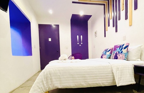 Barrio de Guadalupe Cama Y Desayuno | Suculenta Boutique