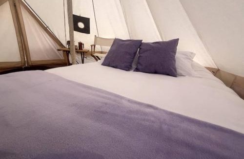 Texcoco de Mora Otro | Sueño de Lavanda en Glamping Rincón de Lavanda