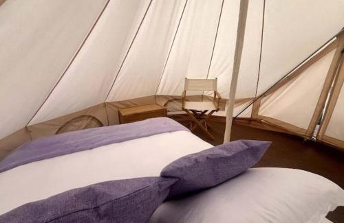 Texcoco de Mora Otro | Sueño de Lavanda en Glamping Rincón de Lavanda