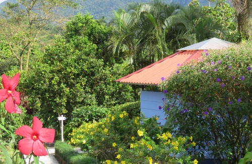 Río Naranjo Cama Y Desayuno | Sueño Río Celeste B&B