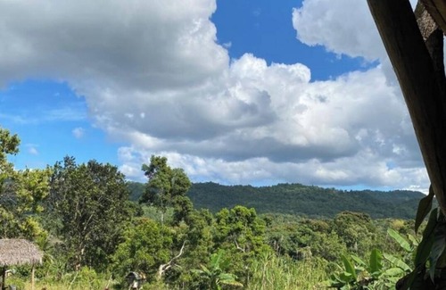 Cave Cabina | Suga Mill Farm, mountains view cabins with private plunge pool.