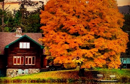 Park Falls Casa | Sugar Maple at Hansen Lake, 6 Beds, Historic Charm