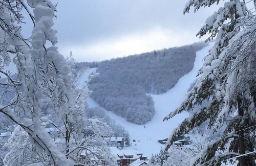 Warren Chalet De Esquí | Sugarbush, Ski in / Ski out, Rustic Classic Chalet, Spectacular Views, Enjoy !!!