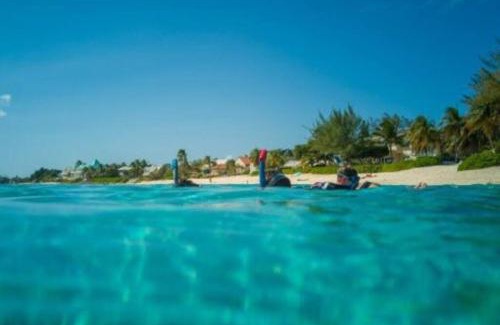 West Bay Apartamento | SUITE 2A, BLUE PAVILION - Steps to SEVEN MILE BEACH -Value, Service, Comfort