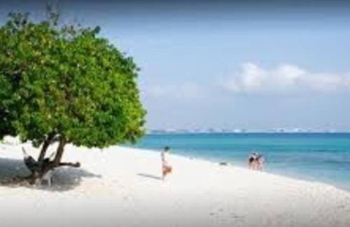 West Bay Apartamento | SUITE 2A, BLUE PAVILION - Steps to SEVEN MILE BEACH -Value, Service, Comfort