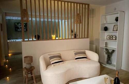 Saint-Aubin-d'Aubigne Apartamento | Suite Banjar-Luxe,Balnéo & Sauna