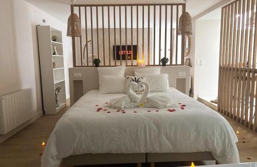 Saint-Aubin-d'Aubigne Apartamento | Suite Banjar-Luxe,Balnéo & Sauna