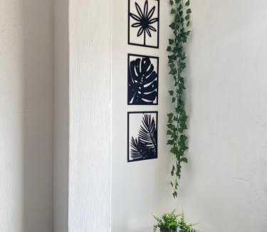 Buzios Complejo | Suite Brava