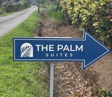 Aguas termales de Arenal Apartamento | Suite Palm