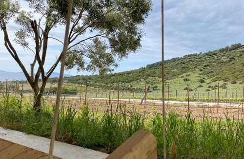 Sorso Casa | SUITE Rooms in Tenuta Asinara Vineyard
