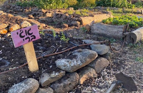 Qatsrin Otro | suite truck- Natura Eco farm