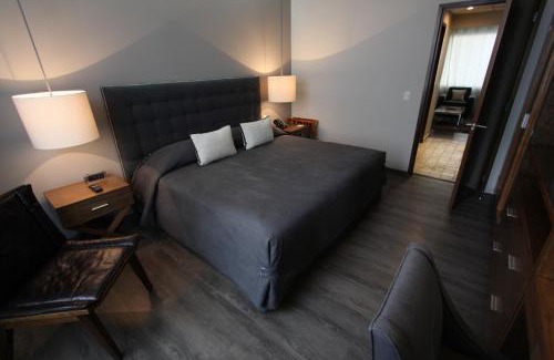 Colonia Cuauhtémoc Apartamento | Suites Del Ángel
