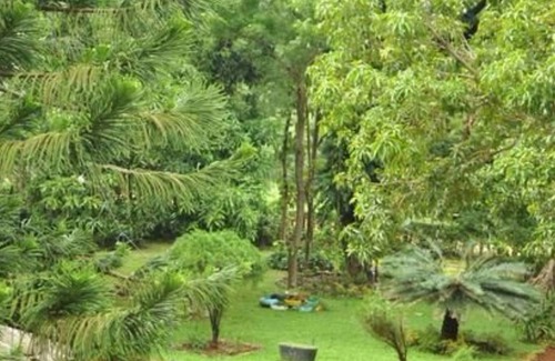 Dambulla Casa | Sujatha Tourist Rest