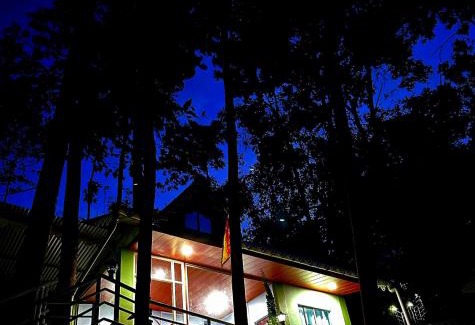 Kurseong Cabina | Sukhim Farmstay