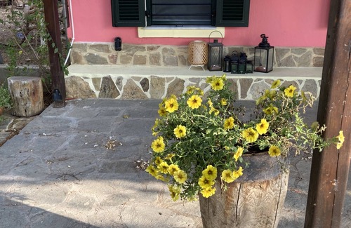 Kalivia Poliyirou Casa | Summer house surrounded by olive trees Halkidiki